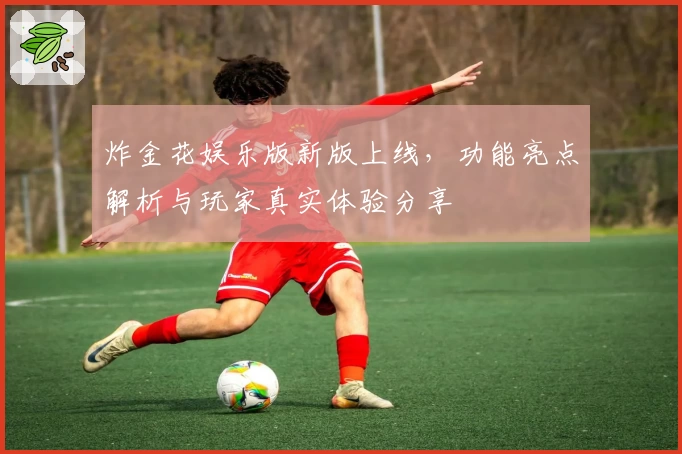 炸金花娱乐版新版上线，功能亮点解析与玩家真实体验分享