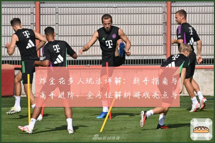 炸金花多人玩法详解：新手指南与高手进阶，全方位解析游戏亮点与社交互动魅力