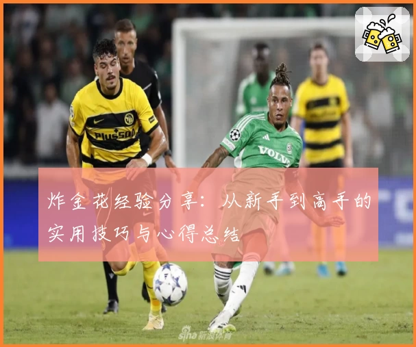 炸金花经验分享：从新手到高手的实用技巧与心得总结