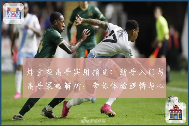 炸金花高手实用指南：新手入门与高手策略解析，带你体验逻辑与心理的巅峰对决