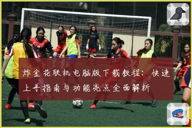 炸金花联机电脑版下载教程：快速上手指南与功能亮点全面解析