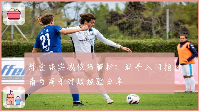 炸金花实战技巧解析：新手入门指南与高手对战经验分享